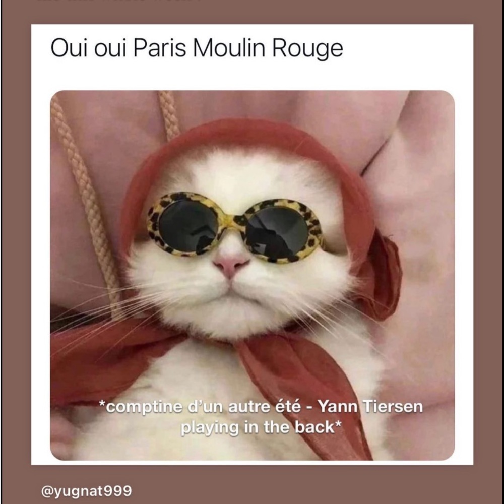 Cat glasses - Picture 4 of 4